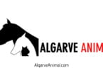AlgarveAnimal: defensores da causa animal criam site para partilha de informação