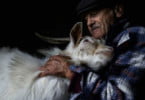 Organização Mundial de Saúde Animal vai premiar fotografias que destaquem trabalho dos profissionais de medicina veterinária