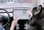 Tesla introduz funcionalidades ‘dog friendly’ no Model 3