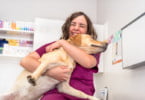 Novo estudo quer saber se os veterinários são felizes