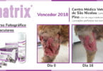 Concurso Hifarmax premeia cicatrizações com Omnimatrix