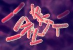 Investigadores conseguem criar antibiótico capaz de atacar apenas as bactérias más