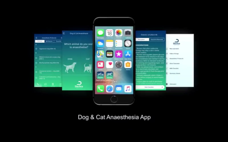 Dechra cria app para ajudar veterinários a ‘desenhar’ protocolos de anestesia à medida do paciente
