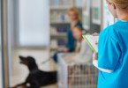 Veterinária britânica recebe advertência por publicar fotos de paciente sem consentimento