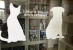 Clinica Veterinária Quinta da Piedade