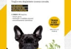 Centro comercial Alegro Alfragide oferece rastreios e workshops a tutores de cães