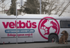 Vetbus