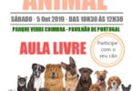 Positive Way – Treino Canino oferece aula no Dia do Animal