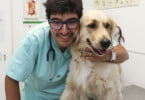 Ricardo Almeida  e