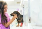 Haverá discriminação de género na medicina veterinária?