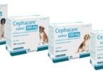 Ecuphar reforça gama Cephacare