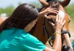 Setor da veterinária é dominado pelas mulheres