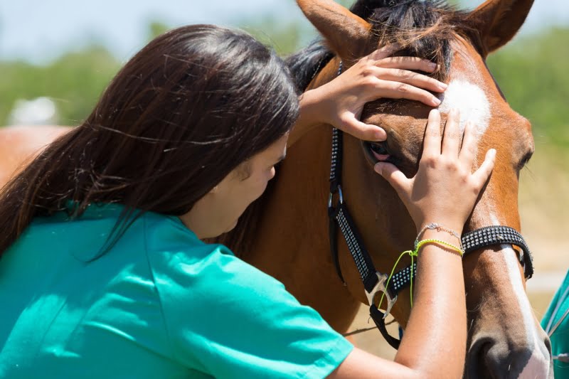 Setor da veterinária é dominado pelas mulheres