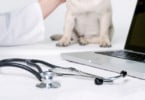 veterinario com cao e computador