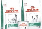 Satiety Weight Management da Royal Canin tem nova imagem