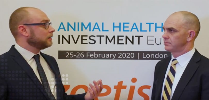 Setor da saúde animal – um investimento a considerar?
