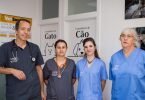 A clínica que aposta na medicina preventiva