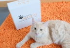 pet city box
