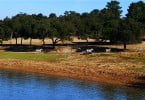 Workshop “Capture, transport and translocation of wild ungulates” em Santiago do Cacém