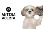 ANTENA ABERTA MATERIAIS page