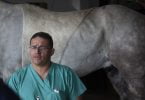 Évora recebeu médicos veterinários de equinos para formação com Jairo Cárdenas