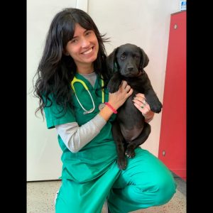 Juana Tracana, médica veterinária no Hospital Veterinário do Restelo