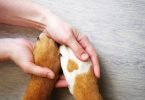 Vet Atual lavar patas cães covid