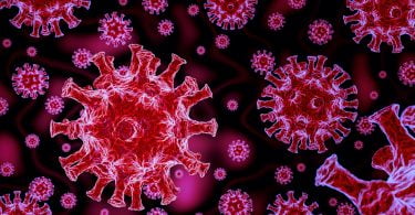 WSAVA realiza novas recomendações sobre coronavírus