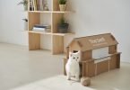 ‘Eco-packaging’ da Samsung transforma-se em ‘casas’ para animais de companhia