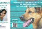 Webinar dedicado à saúde oral em animais de companhia