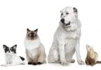 iStock  e