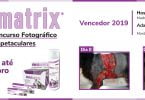 imagem para site Omnimatrix  PT scaled e