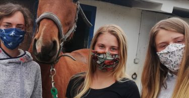 Al Equine Masks: proteção individual pela mão de uma veterinária