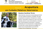 carolinne torres webinar acupuntura