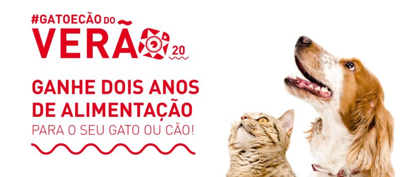 pt l header gato e cao do verao  news e