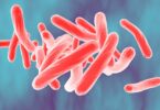 Investigação destaca o impacto do carprofeno na Mycobacterium tuberculosis