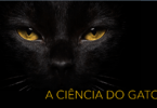 A ciência do gato evento