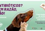 antibióticos