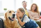 Falar com o cão