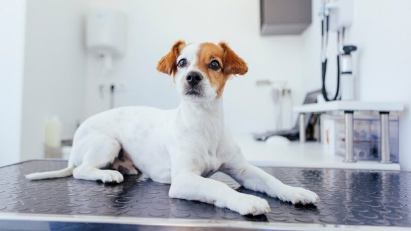 iStock