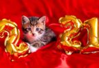 iStock