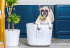 Barkyn Home