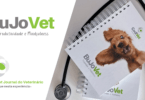 Codivet enviou ‘bullet journal’ para profissionais veterinários
