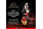 Purina lança alimento dietético CC Cardio Care