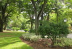 MSD Animal Health alerta para a presença de Toxocara nos jardins e parques infantis