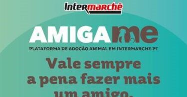 A retalhista Intermarché lançou uma plataforma para promover a adoção de animais de associações de todo o País, a “Amiga-me”.