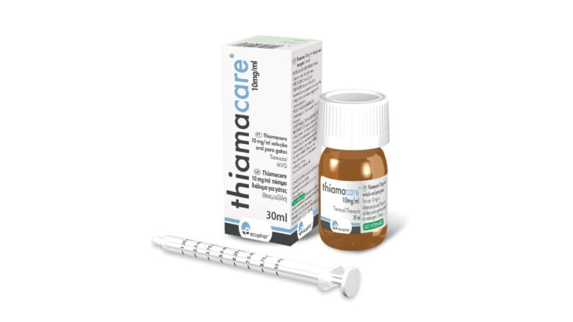 A farmacêutica Ecuphar — Animalcare lançou o Thiamacare em Portugal, uma nova solução para o hipertiroidismo felino.