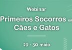 O webinar da Zoowish sobre primeiros-socorros em cães e gatos chega agora à sua terceira edição, que se realiza nos dias 29 e 30 de maio.