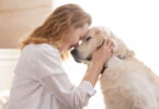 Um estudo, que envolveu 1681 cães e os seus tutores, revelou que as personalidades dos cães tendem a ser semelhantes à dos seus tutores.