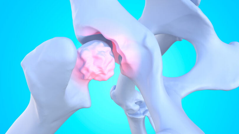 O programa Xpertise, apoiado pela Vetoquinol — empresa global no setor da saúde animal, lançou um guia internacional de osteoartrite canina.